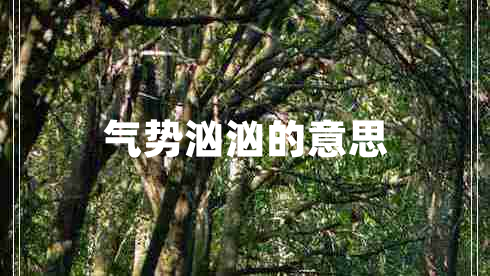 氣勢洶洶的意思