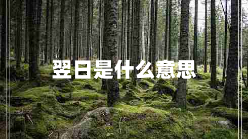 翌日是什么意思