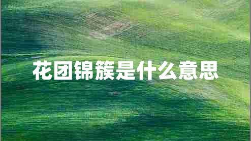 花團錦簇是什么意思