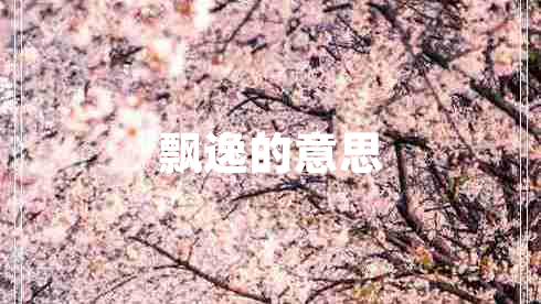 飄逸的意思