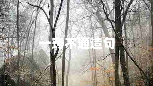 一竅不通造句