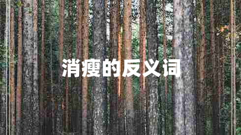 消瘦的反義詞