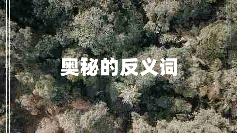 奧秘的反義詞