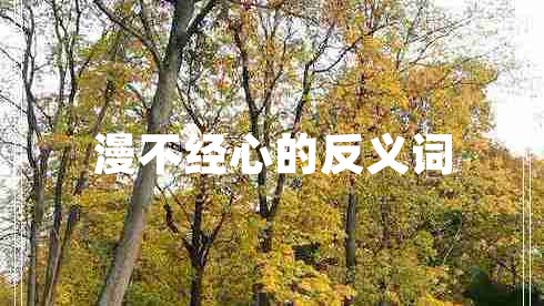 漫不經(jīng)心的反義詞