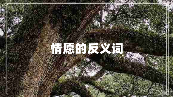 情愿的反義詞