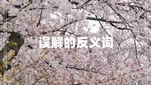 誤解的反義詞