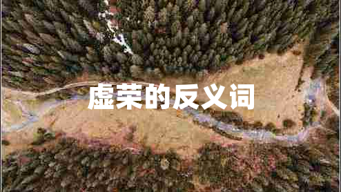 虛榮的反義詞