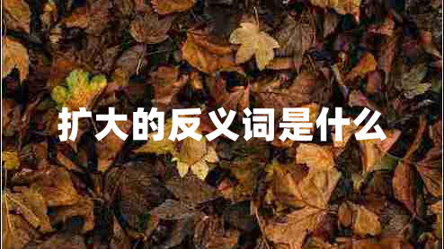 擴大的反義詞是什么