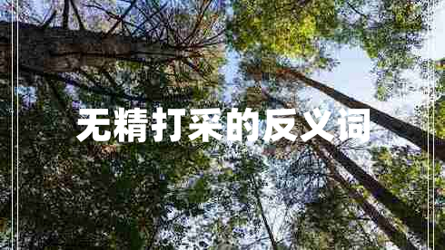 無(wú)精打采的反義詞