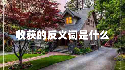 收獲的反義詞是什么
