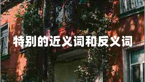 特別的近義詞和反義詞