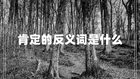 肯定的反義詞是什么