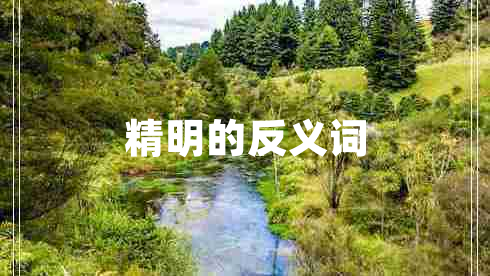 精明的反義詞