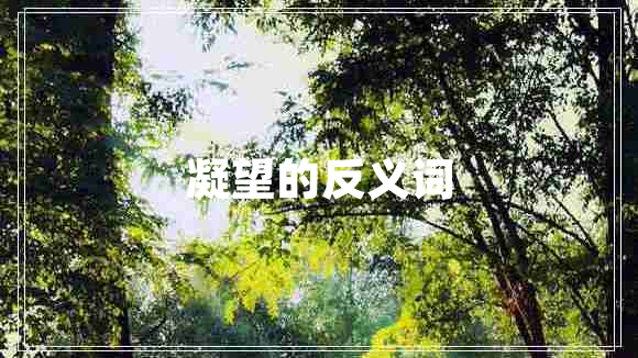 凝望的反義詞