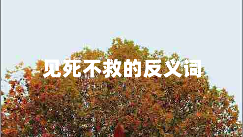 見(jiàn)死不救的反義詞