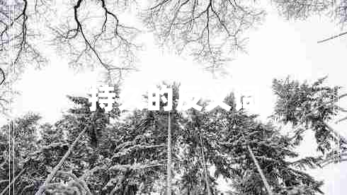持久的反義詞