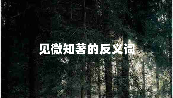 見(jiàn)微知著(zhù)的反義詞