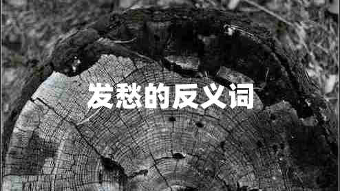 發(fā)愁的反義詞
