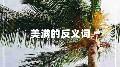 美滿(mǎn)的反義詞