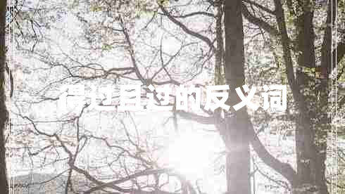 得過(guò)且過(guò)的反義詞