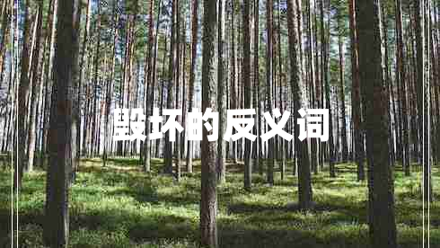 毀壞的反義詞
