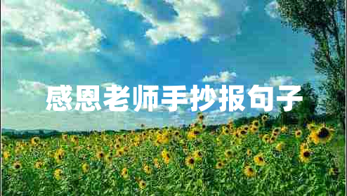 感恩老師手抄報句子