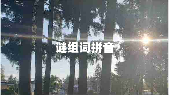 謎組詞拼音