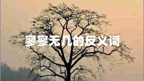 寥寥無(wú)幾的反義詞