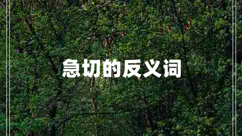 急切的反義詞