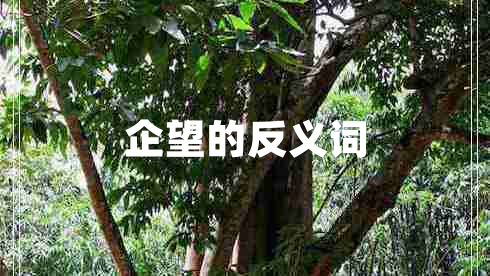 企望的反義詞