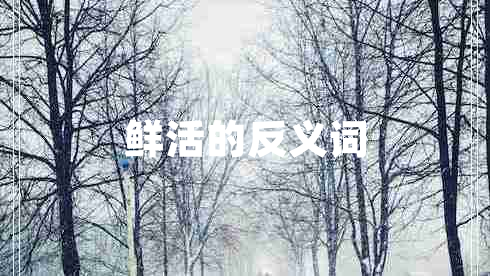鮮活的反義詞