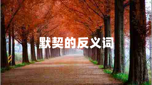 默契的反義詞