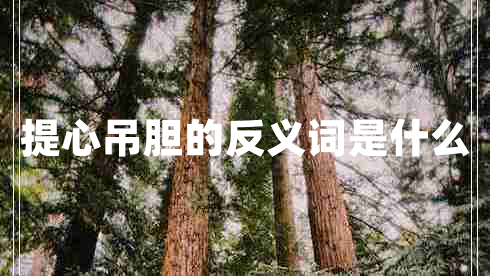 提心吊膽的反義詞是什么