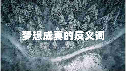 夢(mèng)想成真的反義詞