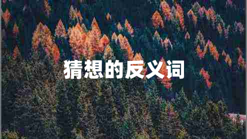 猜想的反義詞