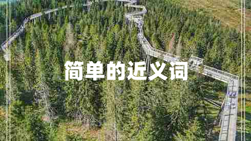 簡單的近義詞