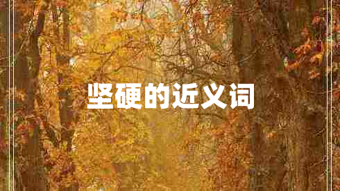 堅(jiān)硬的近義詞