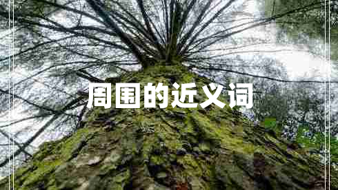 周?chē)慕x詞
