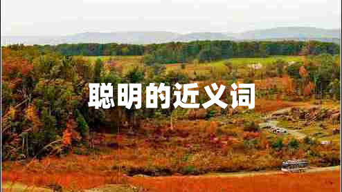 聰明的近義詞