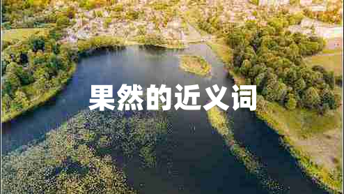 果然的近義詞