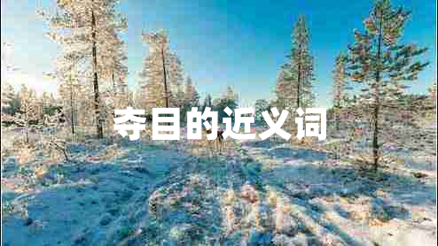 奪目的近義詞
