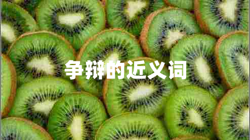 爭辯的近義詞