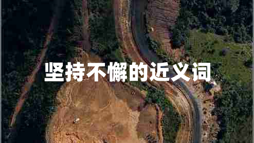 堅(jiān)持不懈的近義詞