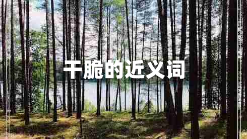 干脆的近義詞