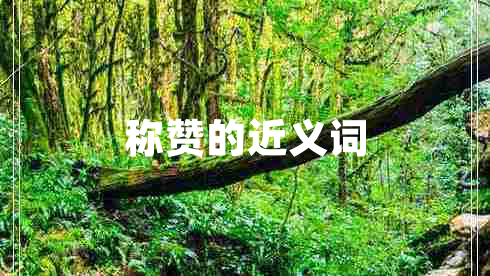 稱(chēng)贊的近義詞