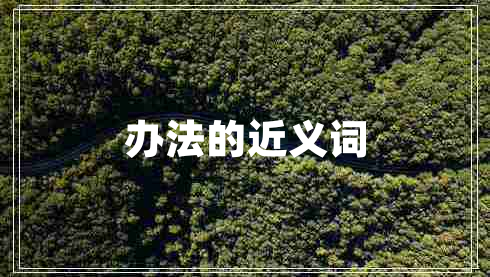 辦法的近義詞