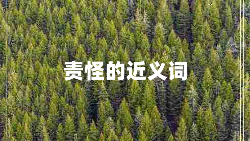 責怪的近義詞