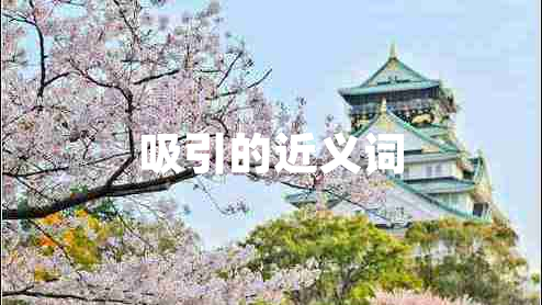 吸引的近義詞