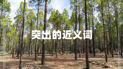 突出的近義詞