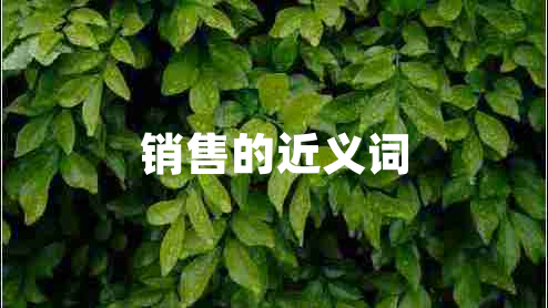 銷售的近義詞